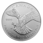Wanderfalke - Peregrine Falcon 2014 - Birds of Prey | 1oz Silber