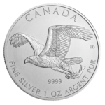Bald Eagle - Weißkopfseeadler 2014 - Birds of Prey | 1oz Silber
