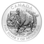 Bison 2013 - Kanada Wildlife | 1 oz Silber