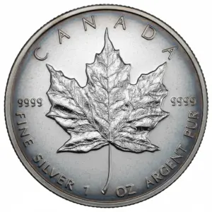 Maple Leaf 2008 | 1 oz Silber B-WARE